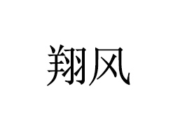 四川翔風(fēng)科技有限公司